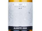 Kurakake Aligoté,2024