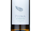 Pluma,2024