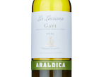 Araldica la Luciana Gavi,2025