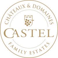 Sponsor for the Large Retailer of the Year category